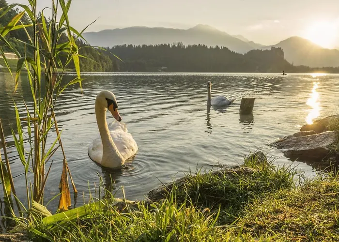 Apartma Apartmaji Baron *