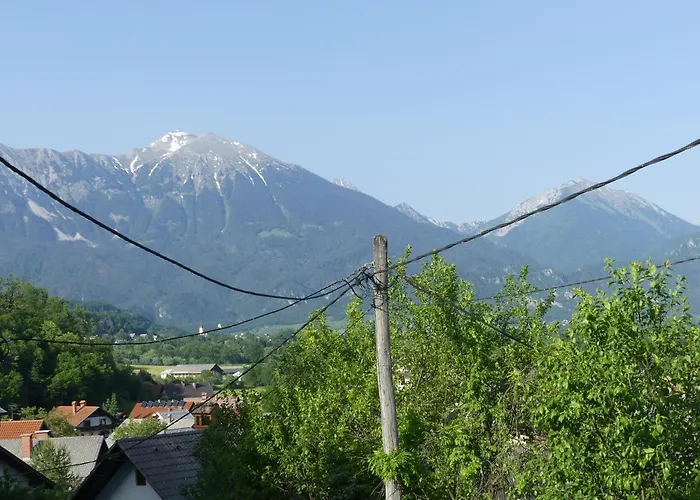 Apartmaji Baron 公寓